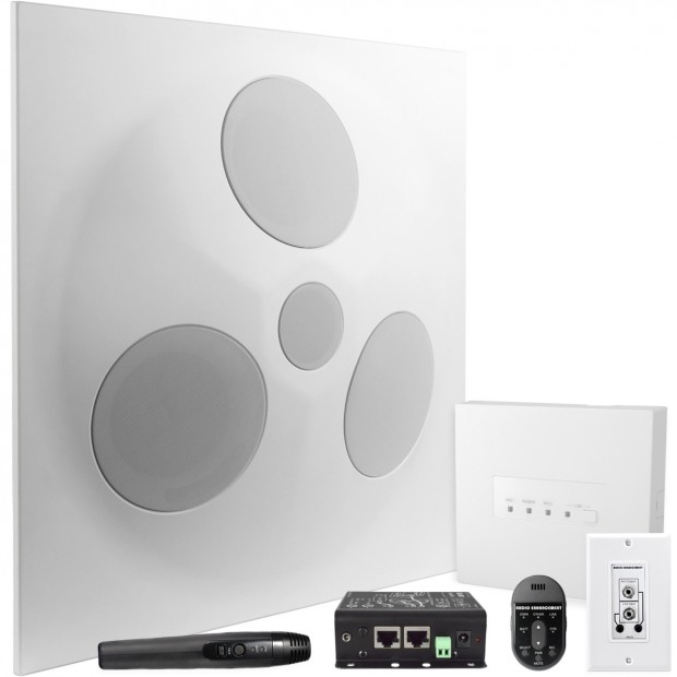 AV Audio In-Ceiling System