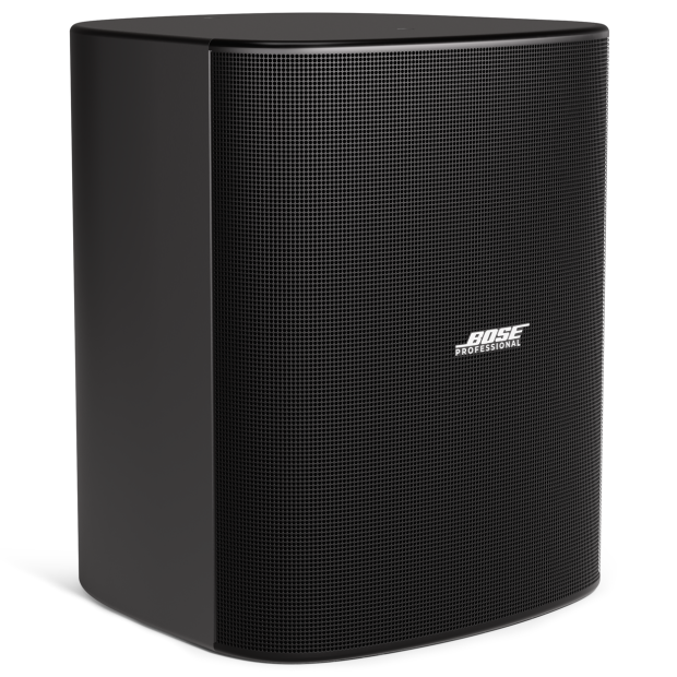 Bose Professional DesignMax DM12SE 12-inch Coaxial Surface-Mount Loudspeaker