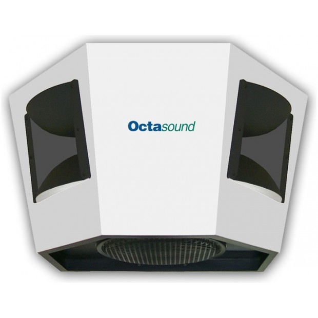 Octasound SP540A 12" Multi-Location Speaker System