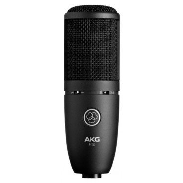 AKG P120 High Performance General Purpose Recording Microphone