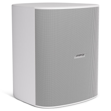 Bose Professional DesignMax DM12SE 12-inch Coaxial Surface-Mount Loudspeaker
