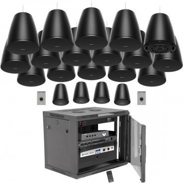 Fitness Center Sound System Package with 20 Bose Professional Pendant Mount Speakers, Crown Power Amplifier and Bluetooth Connectivity