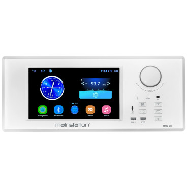 OEM Systems MS-21 In-Wall Entertainment System with Wi-Fi and Bluetooth