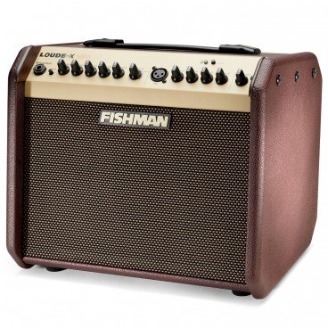 Fishman PRO-LBT-500 Loudbox Mini Bluetooth Amplifier