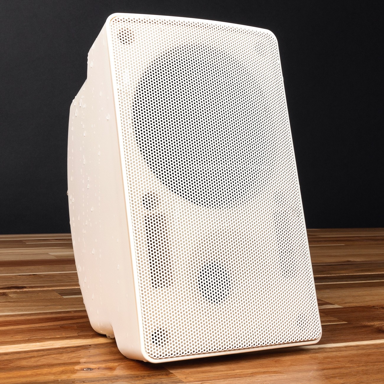 Pure Resonance Audio S5 Speaker Lifestyle Image