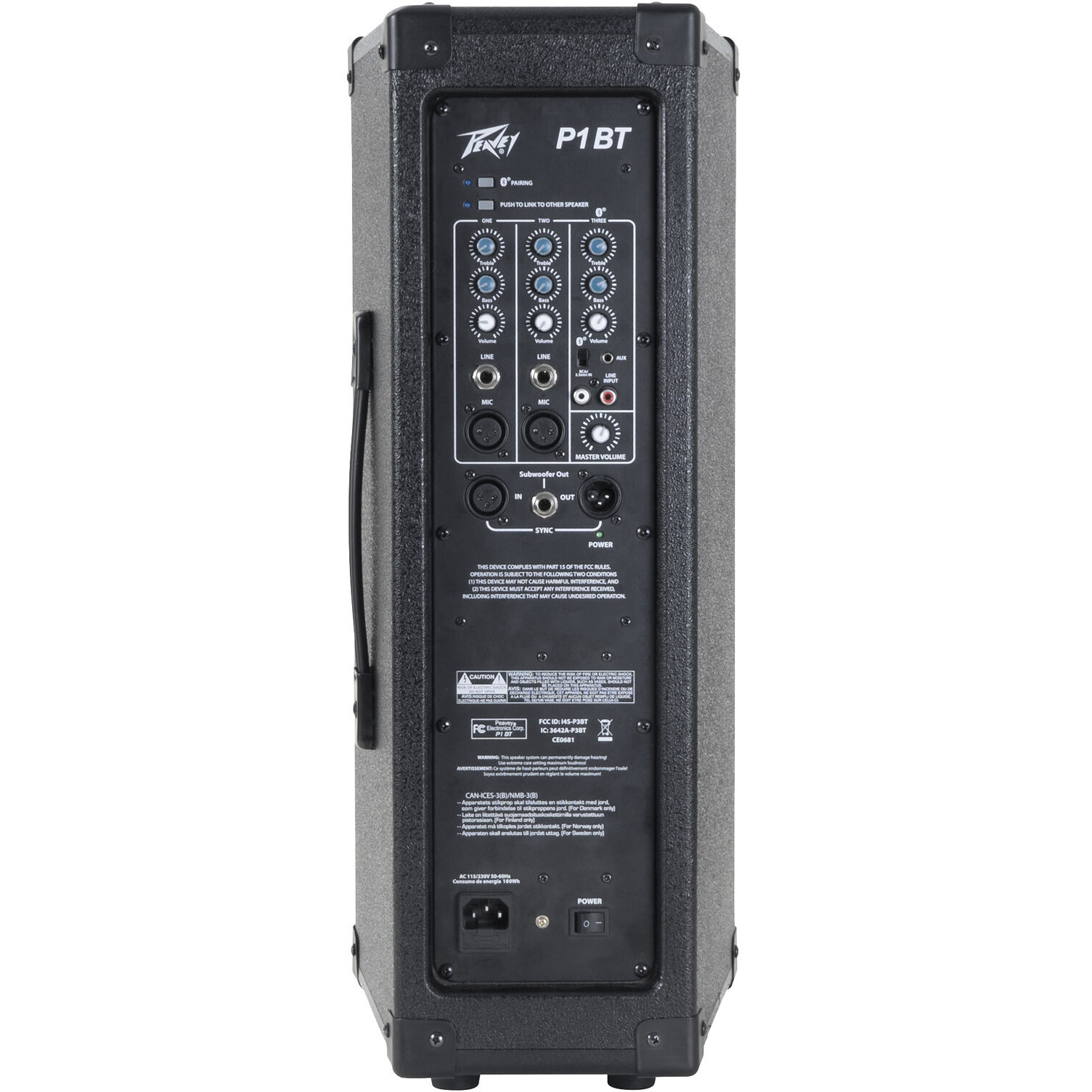 Back of Peavey P1 BT All-in-One Portable PA System