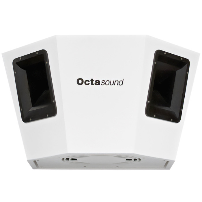 Octasound SP540A Multi-Location Speaker