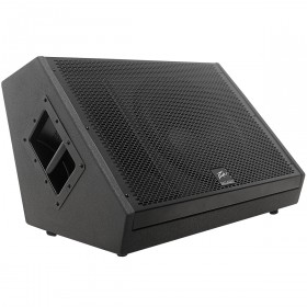 Peavey SP 15M 15" 2-Way 1000W Floor Monitor Speaker (Discontinued)