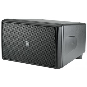 JBL Control SB210 Dual 10 Inch Indoor/Outdoor Compact Subwoofer (Discontinued)