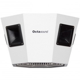 Octasound SP810A 10" Central Speaker System