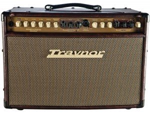 Traynor AM Standard Acoustic Amplifier