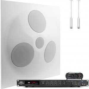 Audio System for Video Conferences
