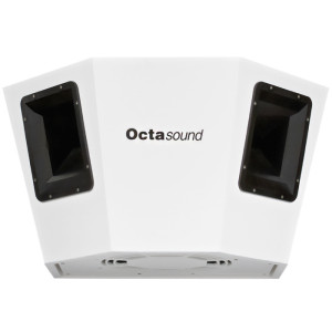 Octasound SP540A Multi-Location Speaker