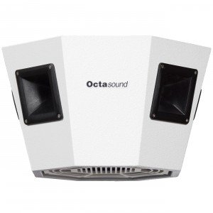 Octasound SP810A 10" Central Speaker System