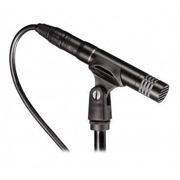 Audio-Technica AT-AT2021 Cardioid Condenser Microphone