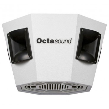 Octasound SP820A 12" 360° x 180° Central Speaker