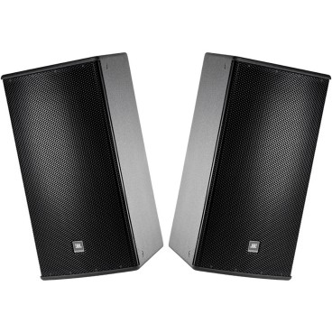 Professional Loudspeaker Package with 2 JBL AM7215/64 Loudspeakers and Flying Hardware (Crowds up to 800)