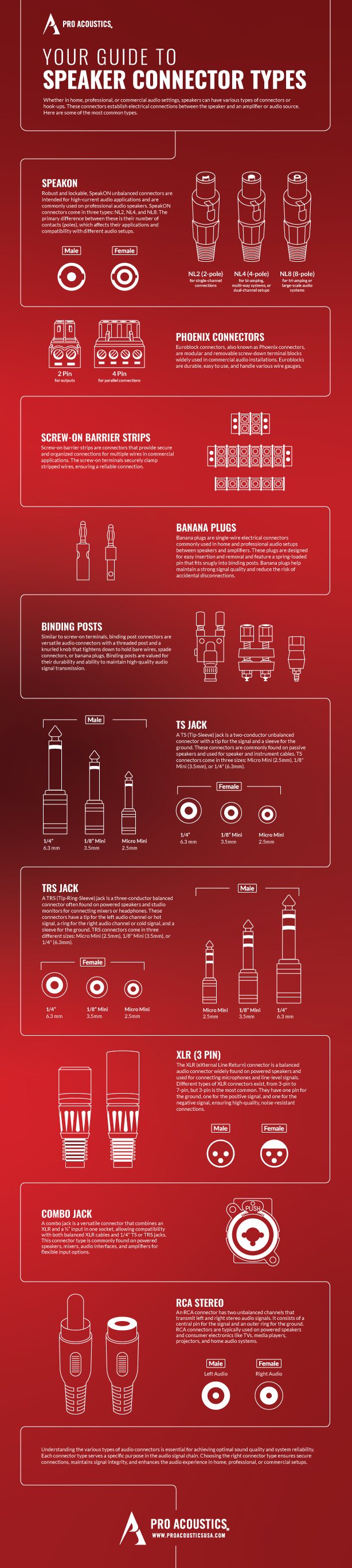 An infographic showing different types of speaker connectors for audio system setup