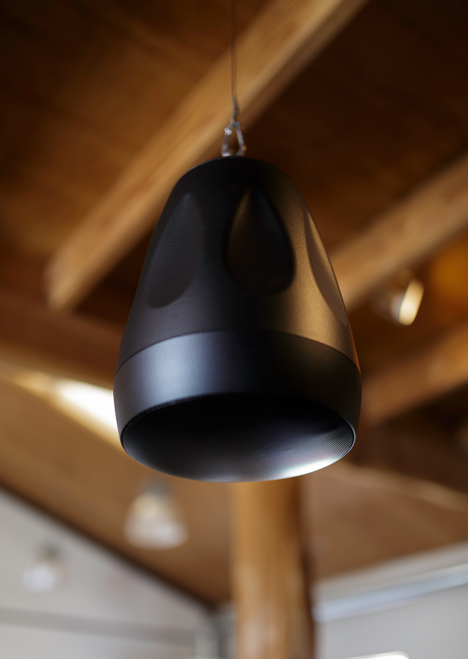 Pure Resonance Audio PD6 for Open Ceilings Pure Resonance Audio PD6 for Open Ceilings